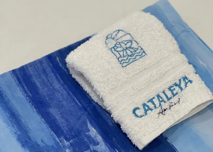 Cataleya A Mare * Praia a Mare