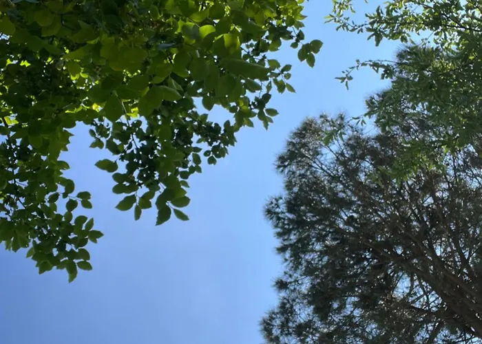 Cataleya A Mare Praia a Mare