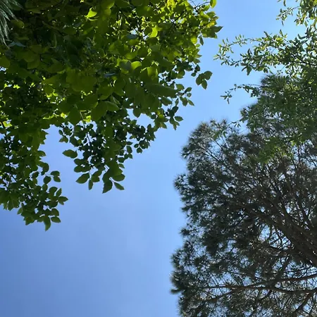 Cataleya A Mare Praia a Mare